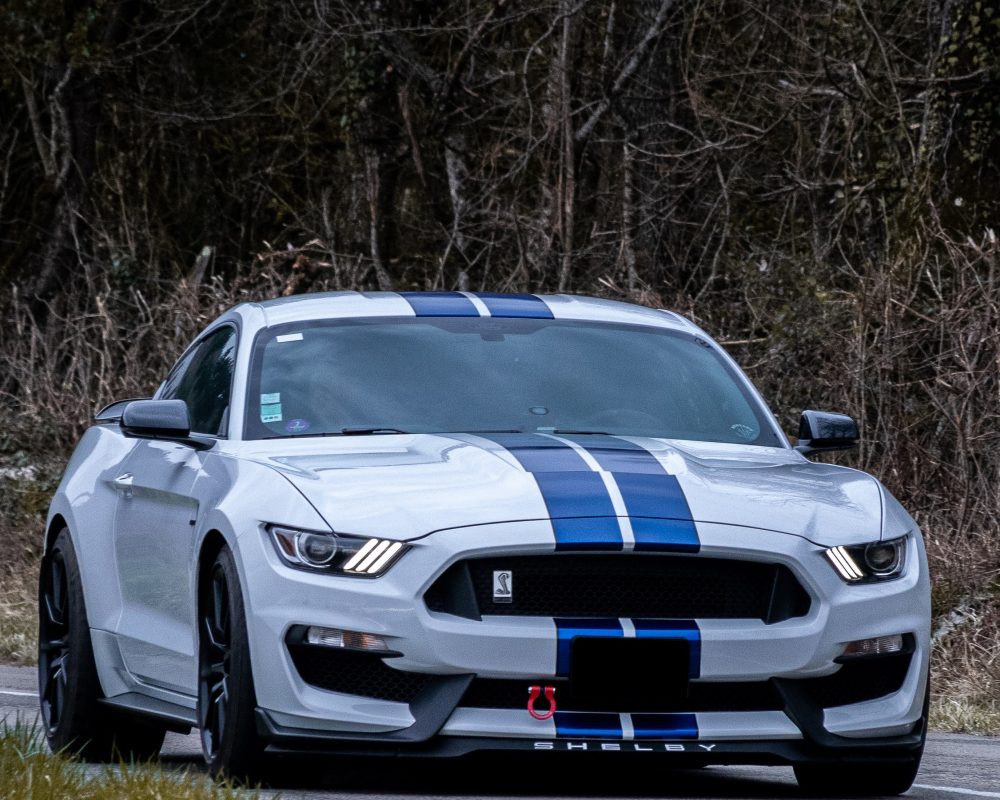 SHELBY GT350