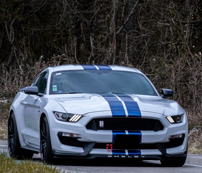 SHELBY GT350