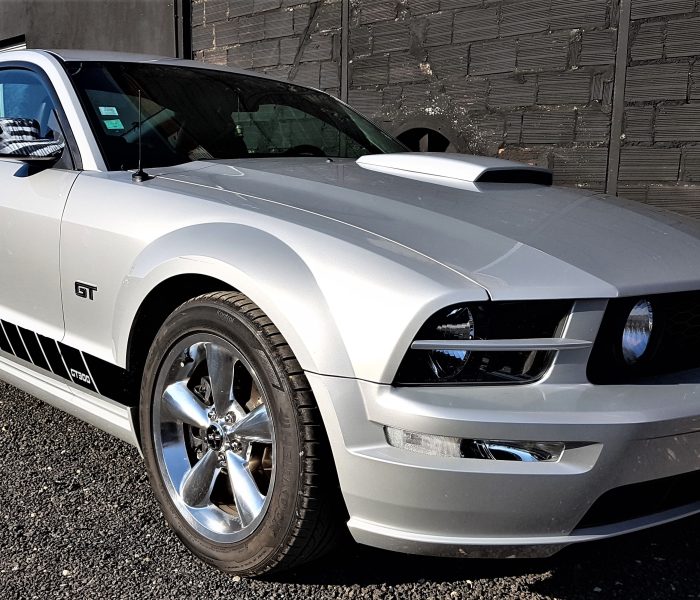 Mustang GT 2005 Satin Silver
