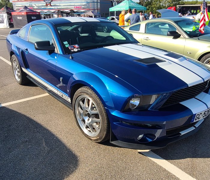 Shelby GT500 2007