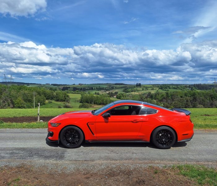 Shelby GT350