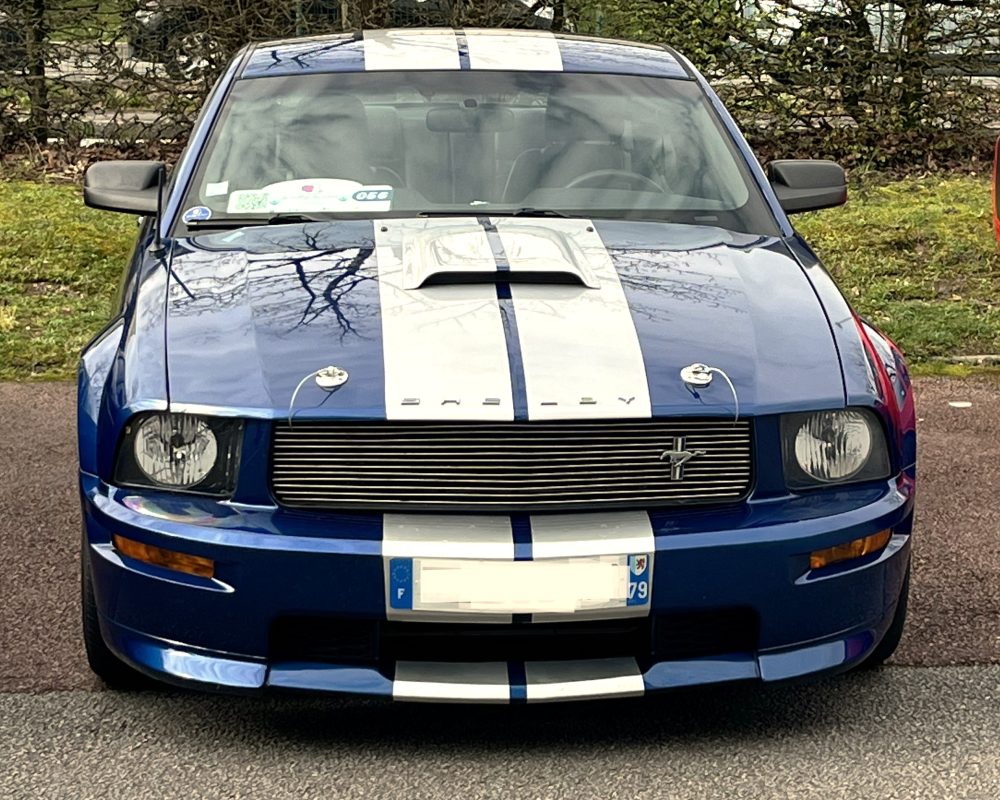 MUSTANG SHELBY GT 2008