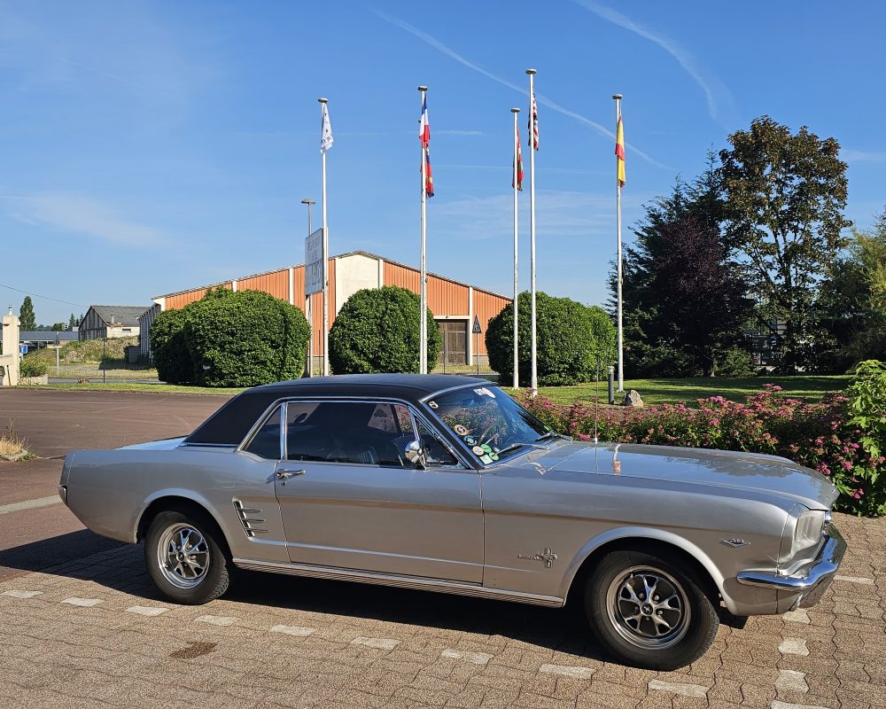 Notre Mustang 66