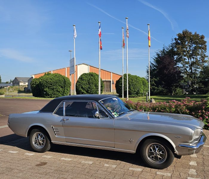 Notre Mustang 66