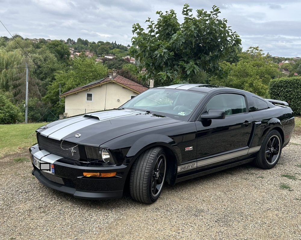 SHELBY GT