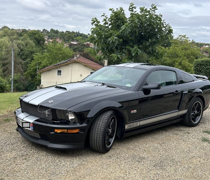 SHELBY GT