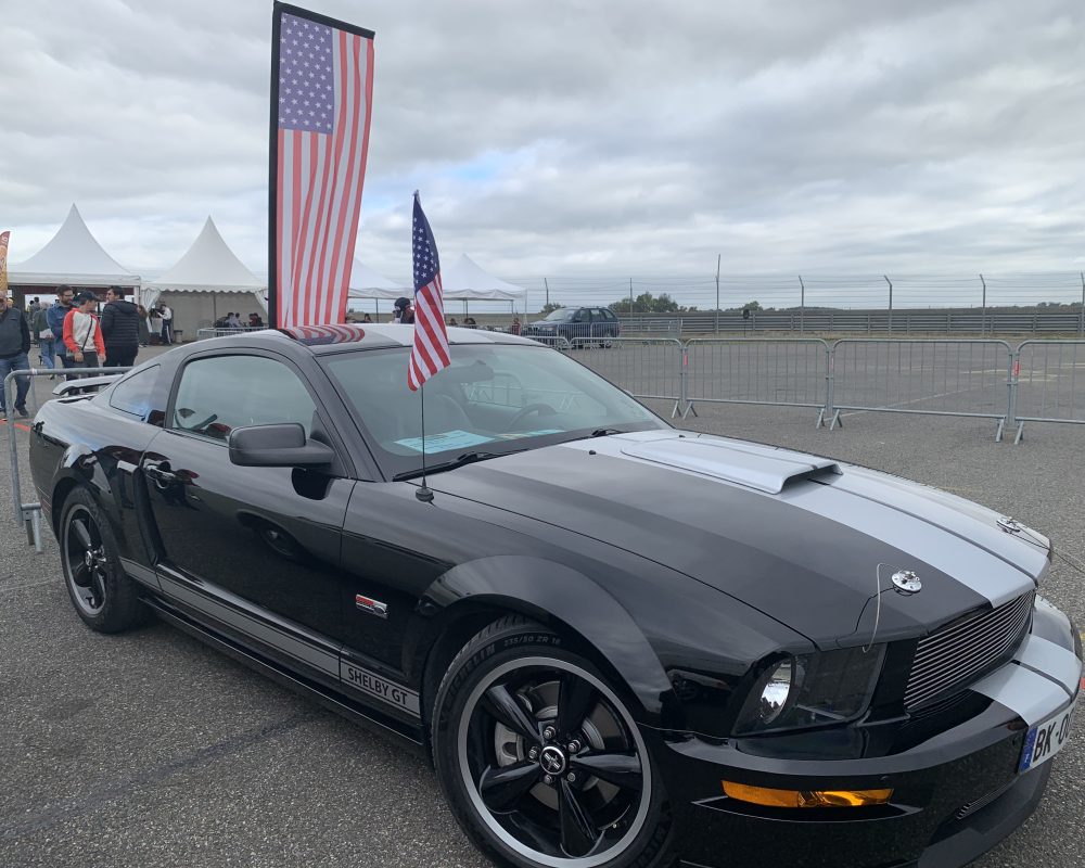 SHELBY GT