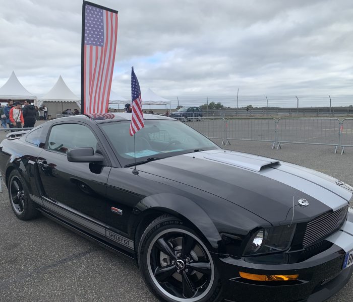 SHELBY GT