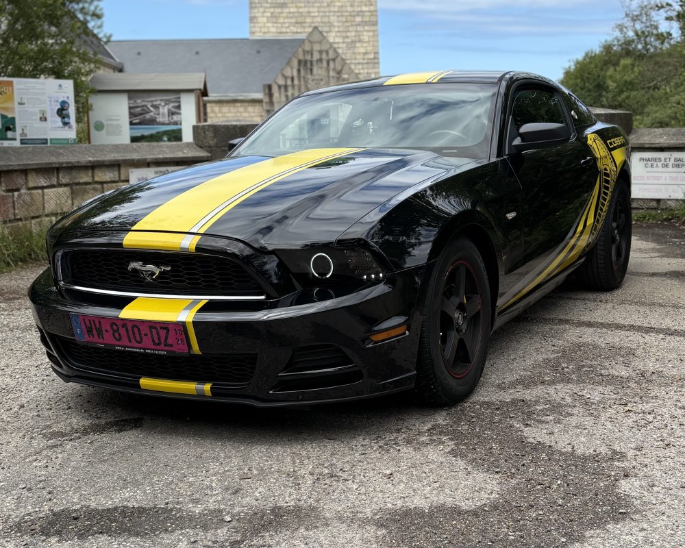 Nouveau propriétaire de mustang