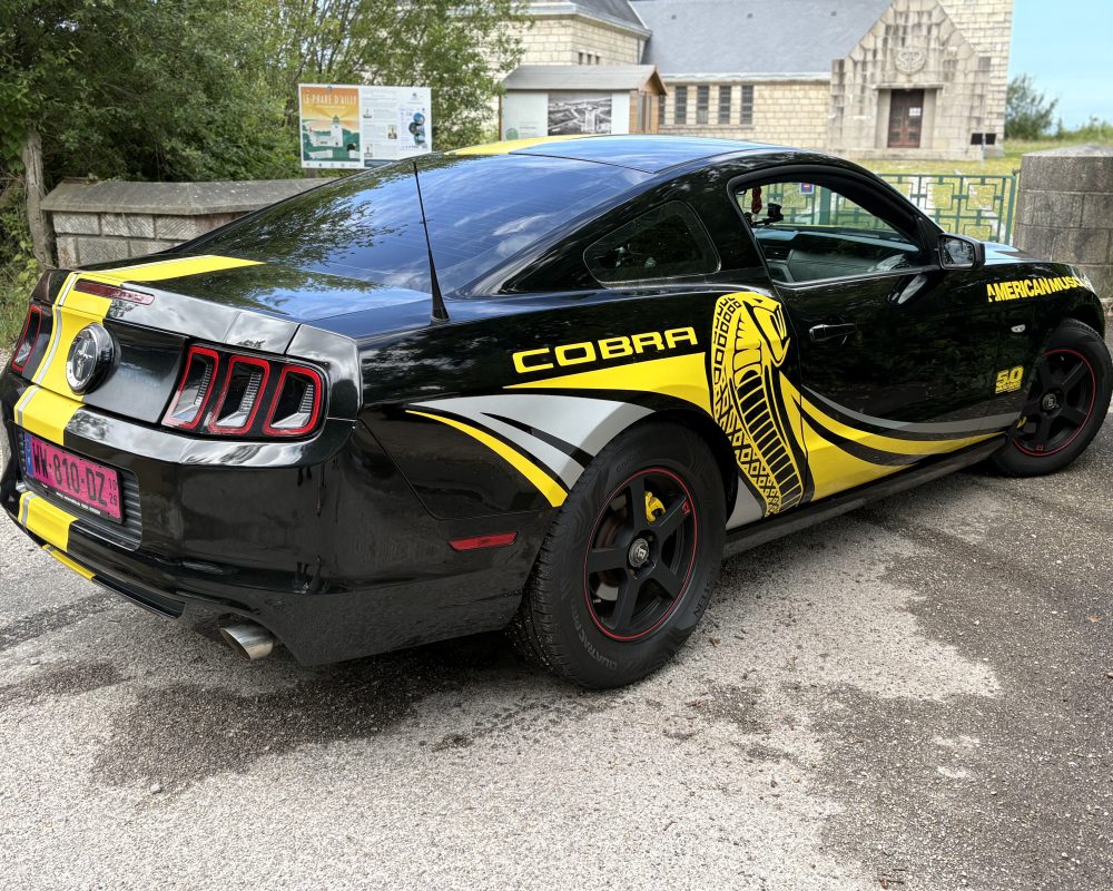 Nouveau propriétaire de mustang