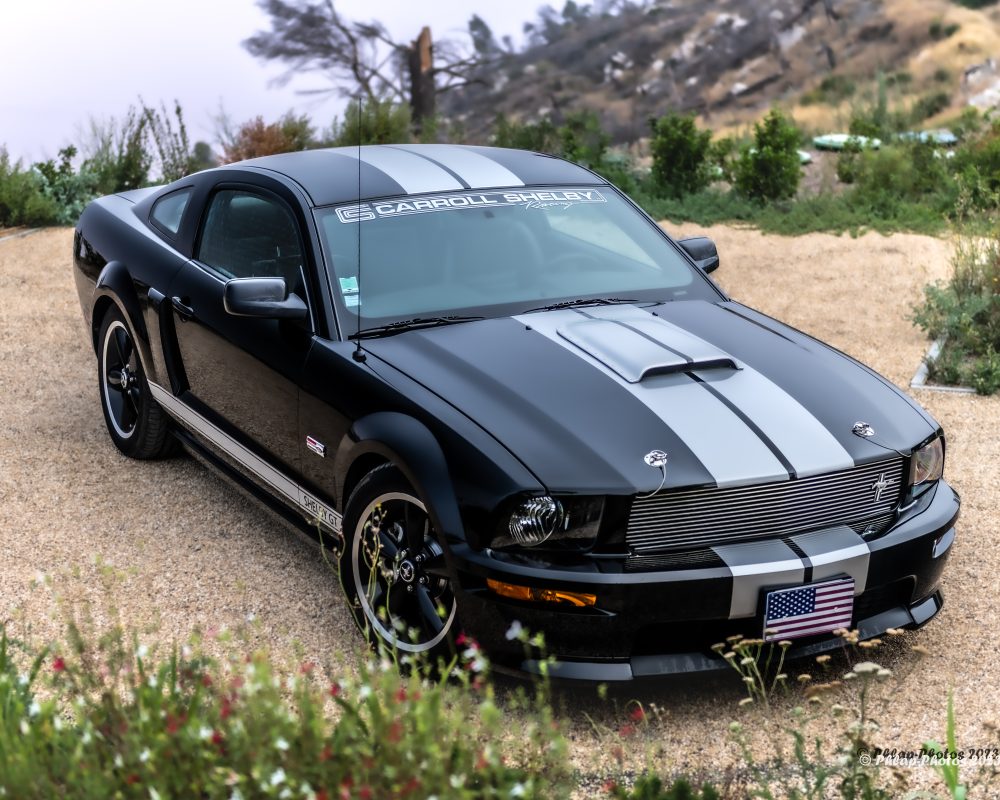 Shelby GT 2007