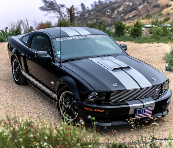 Shelby GT 2007